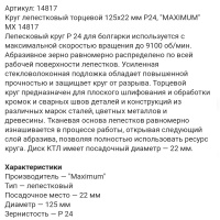 Круг лепестковый торцевой 125x22 мм P24, "MAXIMUM" MX 14817 оптом